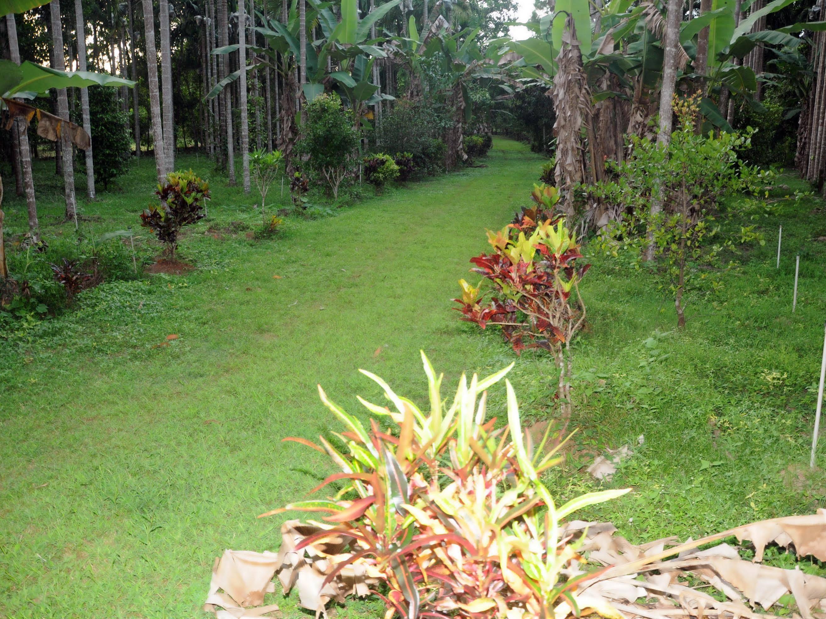 Sathwik Homestay Kumta Exterior foto